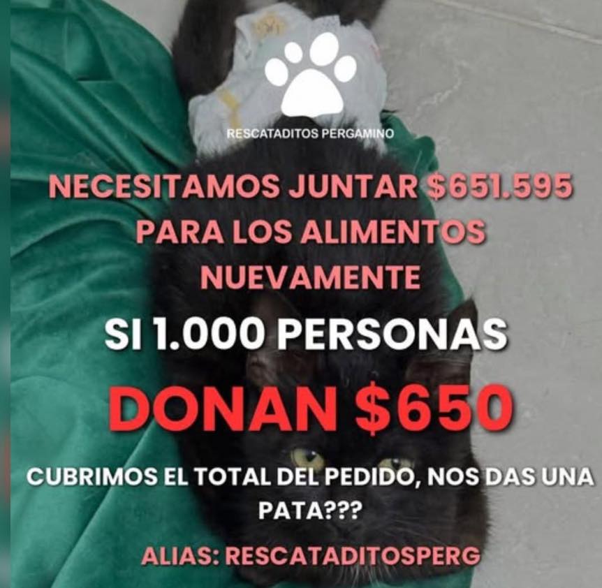 'Rescataditos Pergamino' necesita ayuda urgente