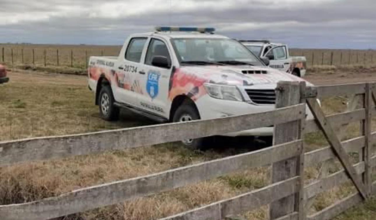 Abigeato en un establecimiento rural ubicado sobre la ruta 32