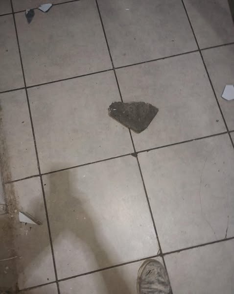 Una violenta pelea, terminó  con un herido y daños en la panadería Las Tres Bambinas