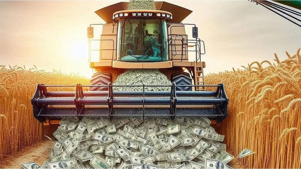 Entrevista a Nicolás Jelisich  de la Rural de Pergamino , sobre la reducción de retenciones y su impacto en la producción