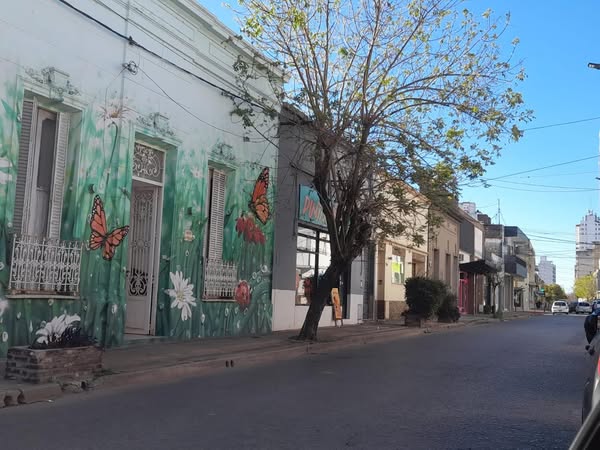 Árbol en Peligro de Caída Frente a una Guardería en Merced 847