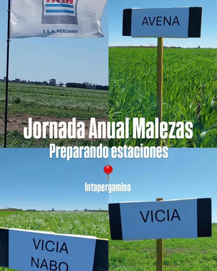 Pergamino será sede del VII Encuentro Anual de Malezas del Inta