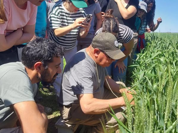 Estudiantes de Agronomía  de la Unnoba realizaron  una visita académica al Inta