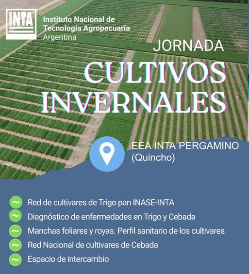 Inta Pergamino realizará una jornada sobre cultivos invernales