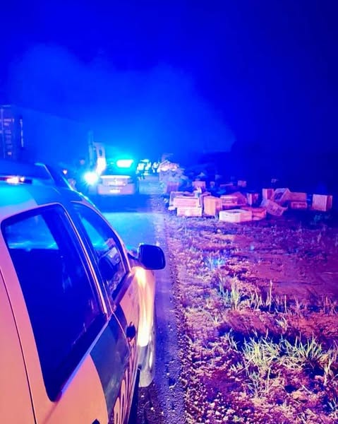 Volcó un camión con en la Ruta  8: estaba cargado de gallinas