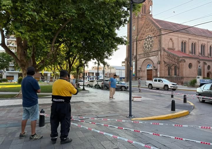 Insólito: Un panal de abejas paralizó el centro pergaminense