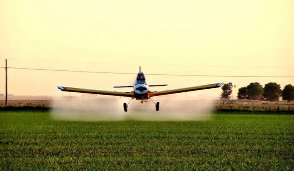Siete productores y dos exfuncionarios  municipales enfrentan juicio  por uso indebido de agroquímicos
