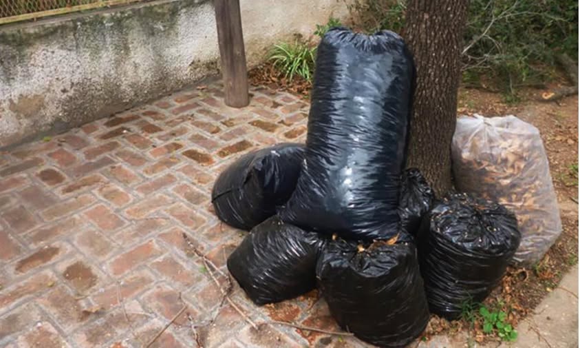 La Municipalidad de Pergamino informa que durante el mes de febrero de 2026 continuará el servicio gratuito de recolección de ramas, escombros y residuos voluminosos