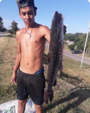 Un surubí en el Arroyo Pergamino, una postal poco frecuente