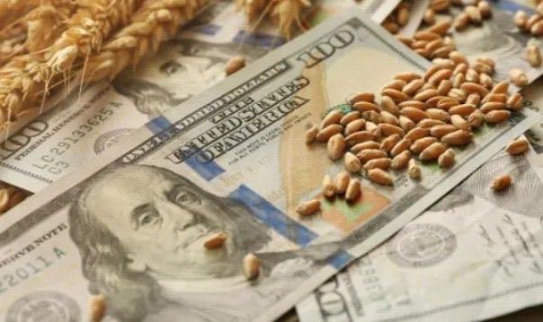 El agro aceleró la liquidación de  dólares en enero: ingresó más de  u$s1.850 millones que en diciembre 