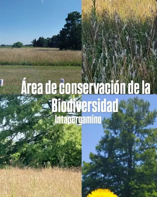 El Parque Inta Pergamino y su rol clave en la conservación de la biodiversidad