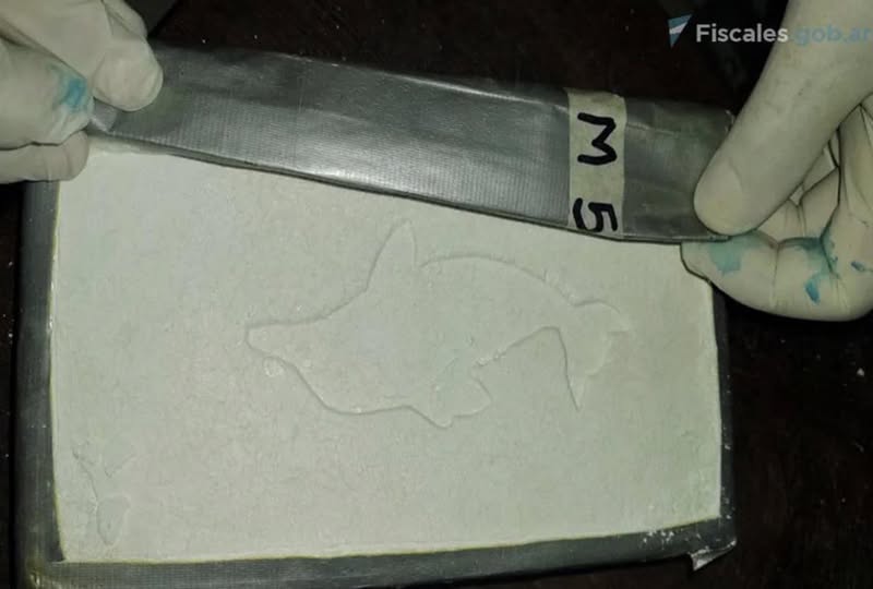 Juicio oral para 14 acusados de narcotráfico tras hallazgo de avioneta