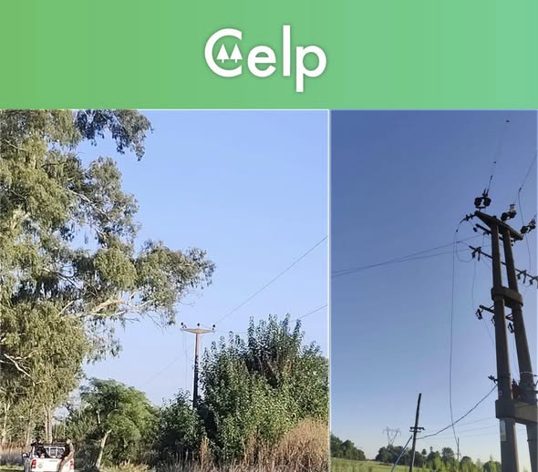Nuevo golpe al suministro eléctrico: Robo de cables de media tensión en la zona del INTA