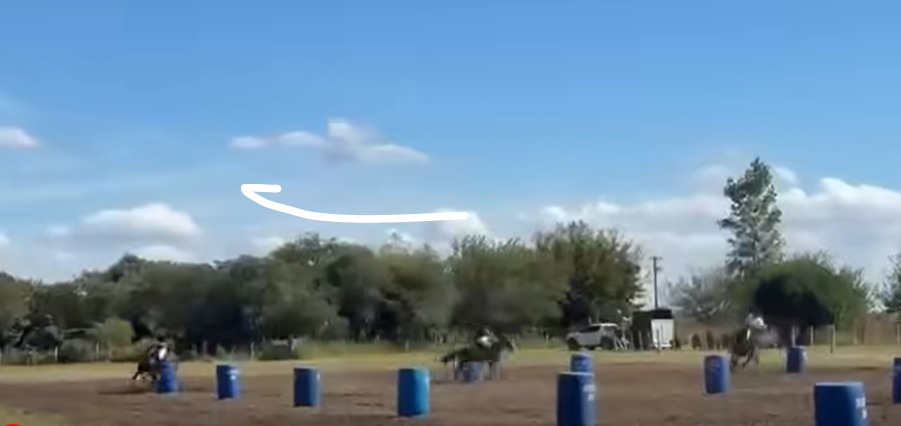 Pinzón vive a pleno la Gran Prueba de Riendas ante una multitud