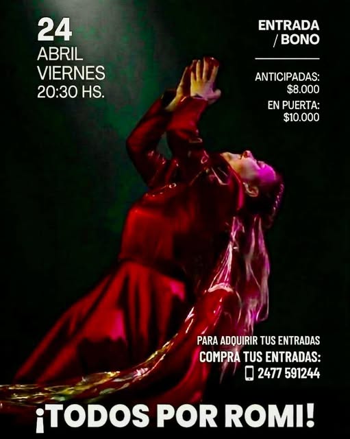 Gran festival solidario para ayudar a Romi este viernes